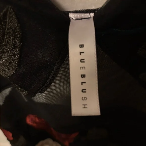 NWT Beautiful Blue Blush Dress with Red and White Floral Details - Picture 10 of 15